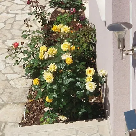 Apartmán Sara